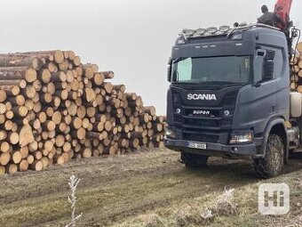 Poptávám palivové dřevo - 2x Kamiony