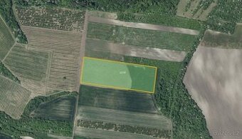 Sady, vinice, prodej, Želkovice, Louny