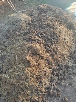 Pytlovaný koňský hnůj do zahrady