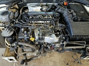 Motor 2.0tdi CUPA - 1