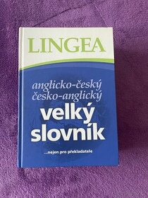 Velký slovník anglicko-český a česko-anglický