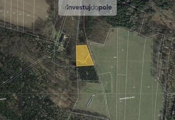 Prodej pozemku v k.ú. Běleč u Mladé Vožice