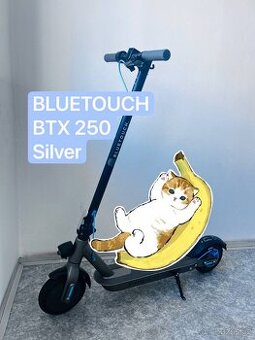 Elektrokolobežka BLUETOUCH BTX 250 SILVER
