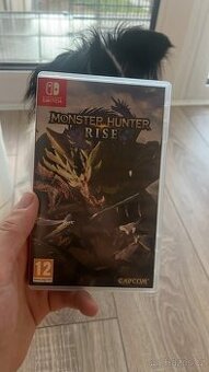 Monster Hunter Rise Nintendo