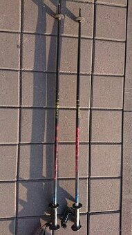 Hůlky Masters ACT 4 dl. 120cm