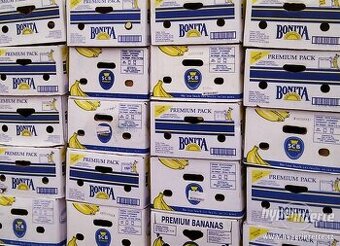 Banánové krabice, banánovky