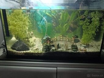 Akvárium 40L včetně příslušenství