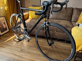 Cannondale Silkroad 900