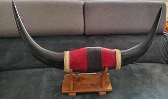 Rohy z vodního buvola na podstavci