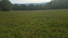 Prodám louku 5800m2