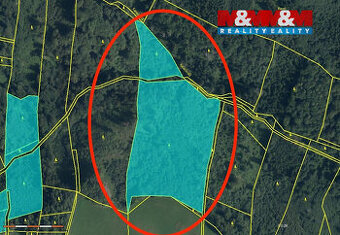 Prodej lesa, 29330 m², Horní Studénky