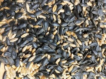 Směs pro ptáčky na zimu