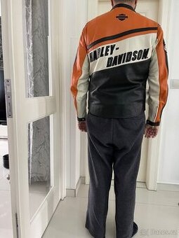 Harley davidson bunda pánská