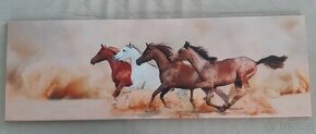 Obrázky s koňmi