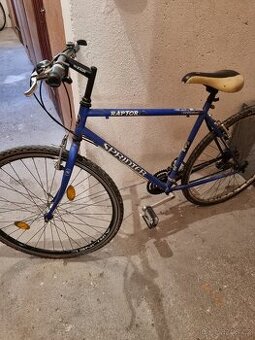 Pánské silniční kolo - SPRINTER RAPTOR