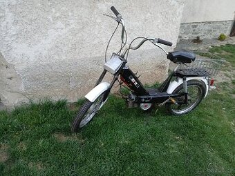Babeta 207