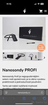 Nanosondy