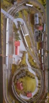 Analigove kolejiste N