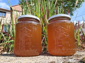 Včelí med - květový i lesní