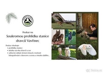 Záchranná stanice zvířat, prohlídka, ukázka dravců.
