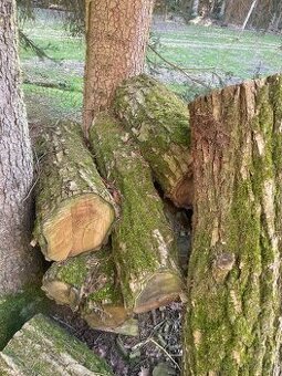 Akátové dřevo, palivové dřevo, klády, 2. roky sušené