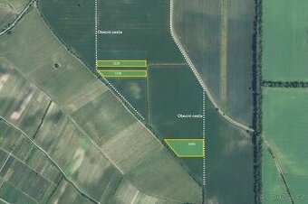 Zemědělská půda, prodej, Dolní Dunajovice, Břeclav