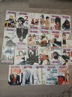 Bleach manga