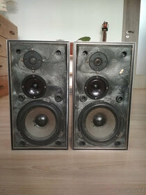 repro Bang & Olufsen BeoVox S45 - 1