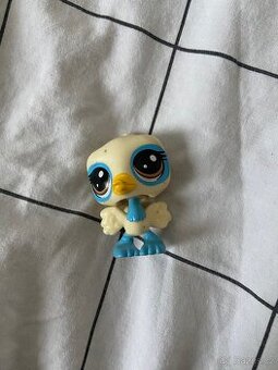 lps pštros - 1