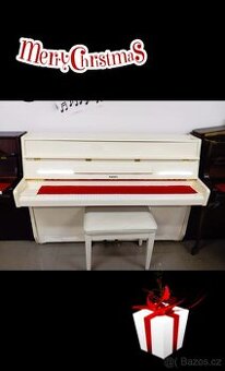 Aspheim (Hyundai)/lesk/-Dovoz i na Štědrý den 24.12.