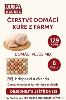 Kuře chlazené, vejce