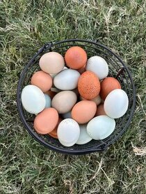 Nasadová vejce