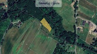 Prodej pole v k.ú. Prstná