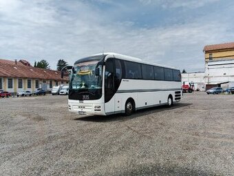 Man Lion's Coach