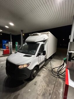 Řidič sk. B (OSVČ) - rozvoz chlazeného zboží