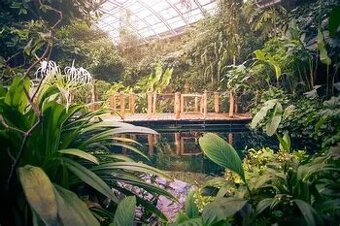 6x vstupenka do Botanické zahrady Praha Troja a Fata Morgana