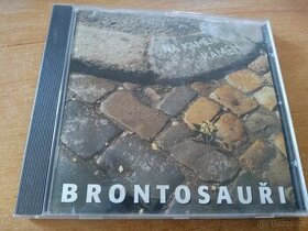Cd - Brontosauři  - Na kameni kámen