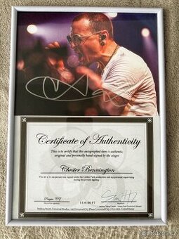 Obrázek k inzerátu: Chester Bennington Linkin Park