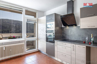 Prodej bytu 2+1, 45 m², Tanvald, ul. Sportovní