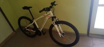 Rock Rider ST100