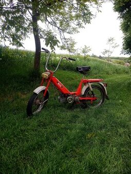 Babetta 207