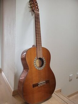 Prodám kytaru - 1