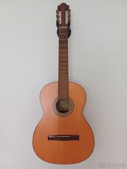 Akustická kytara Amada 4655
