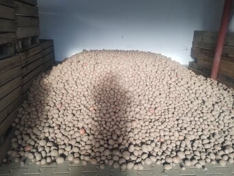 BIO brambory z farmy s certifikátem