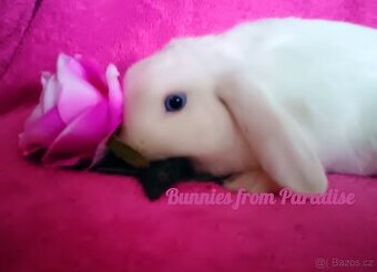 MODROOKÝ SNĚHOVĚ BÍLÝ SATÉNOVÝ KLUČÍK ❤️❤️❤️