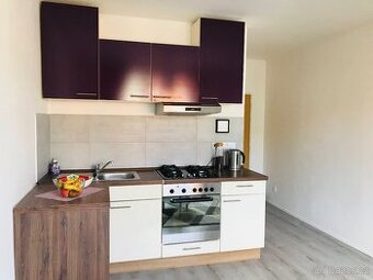 Pronájem 1+1 byt 40 m2 Strakonice