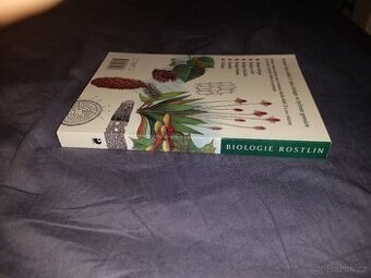 Biologie rostlin