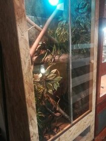 Nové kompletně vybavené terárium 120x60x60cm