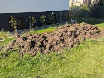 Hlína / zemina za odvoz (Hradec Králové)