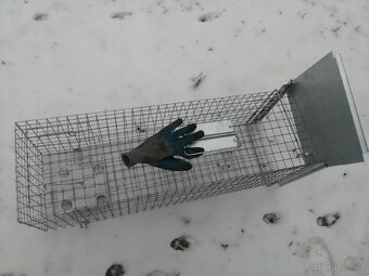 Sklopec velký, Past na kuny, potkany, kočky tchoře atd